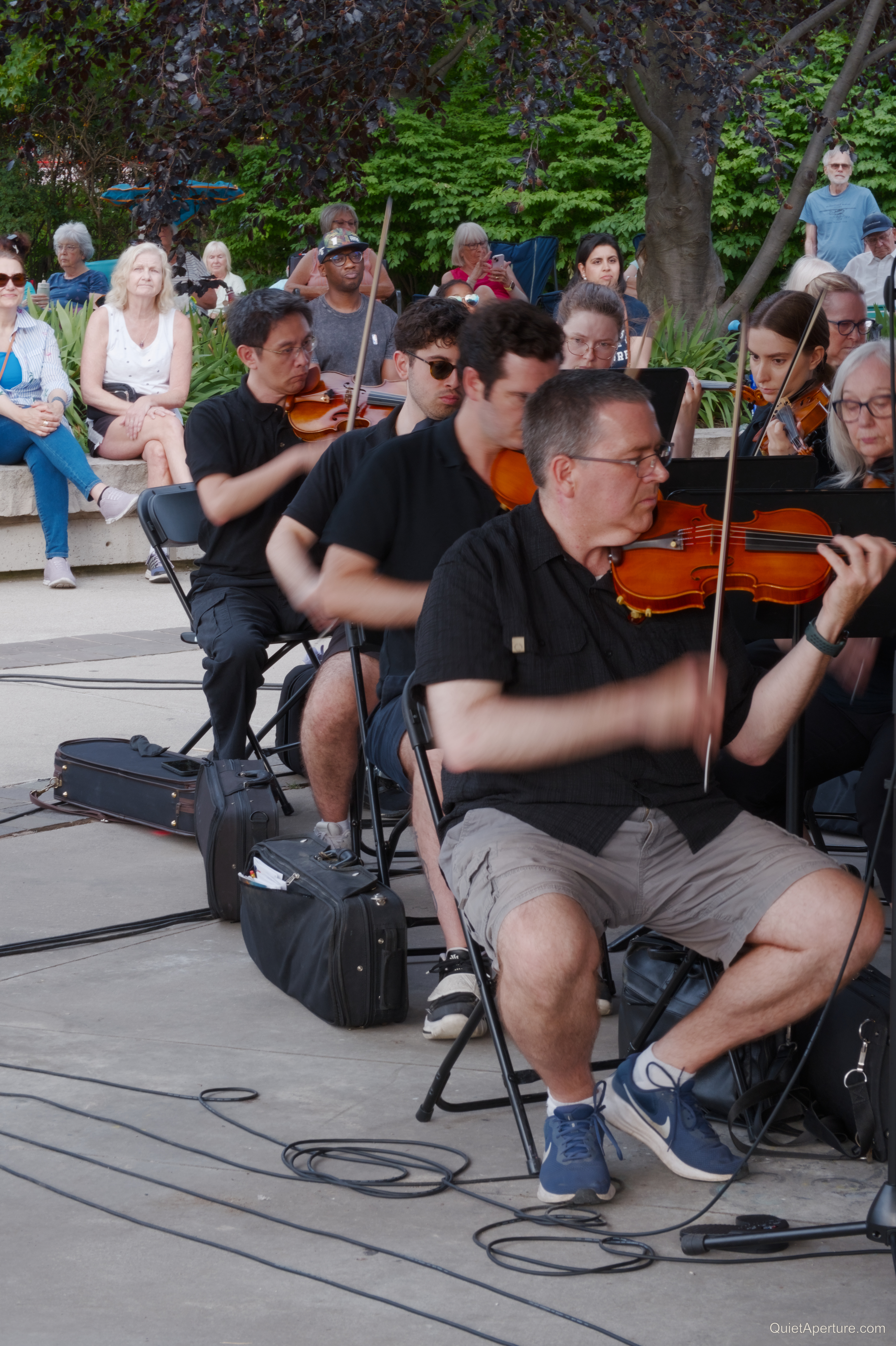 Symphony in the Park 2026, frame 02.