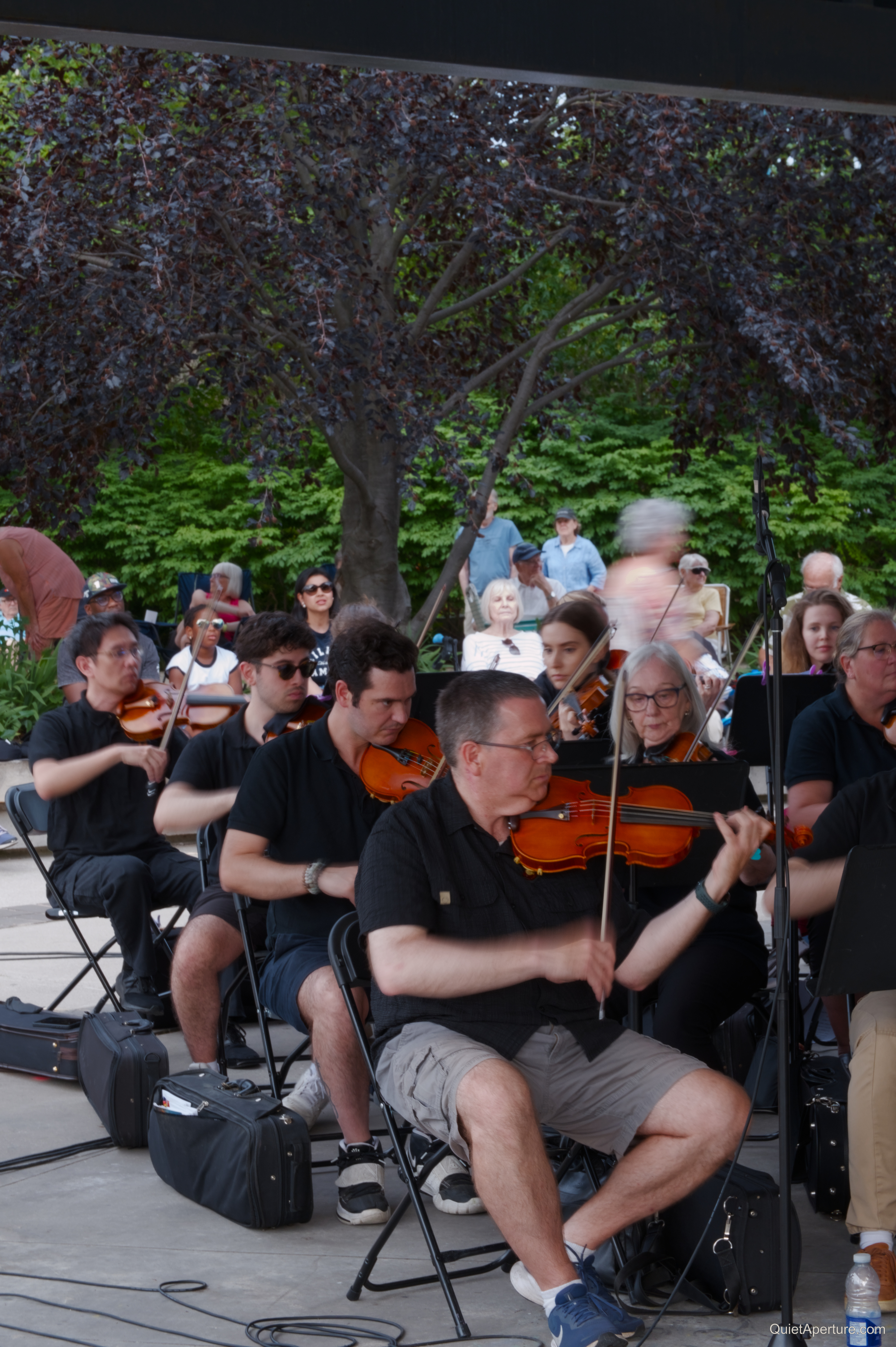 Symphony in the Park 2026, frame 05.