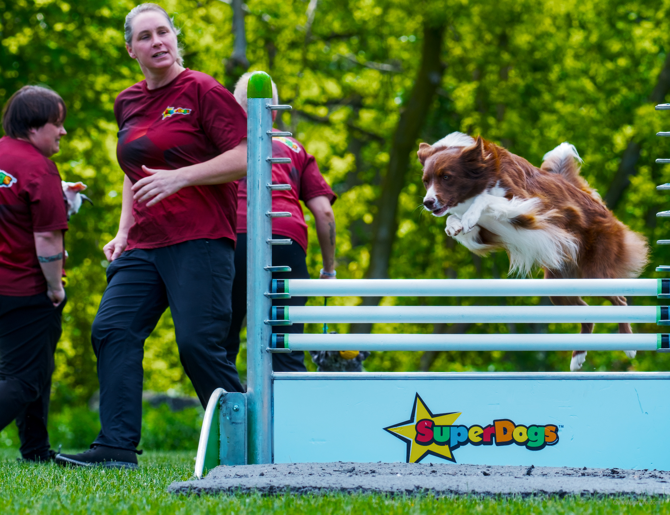 SuperDogs 2026 at the Bread and Honey Festival, frame 02.