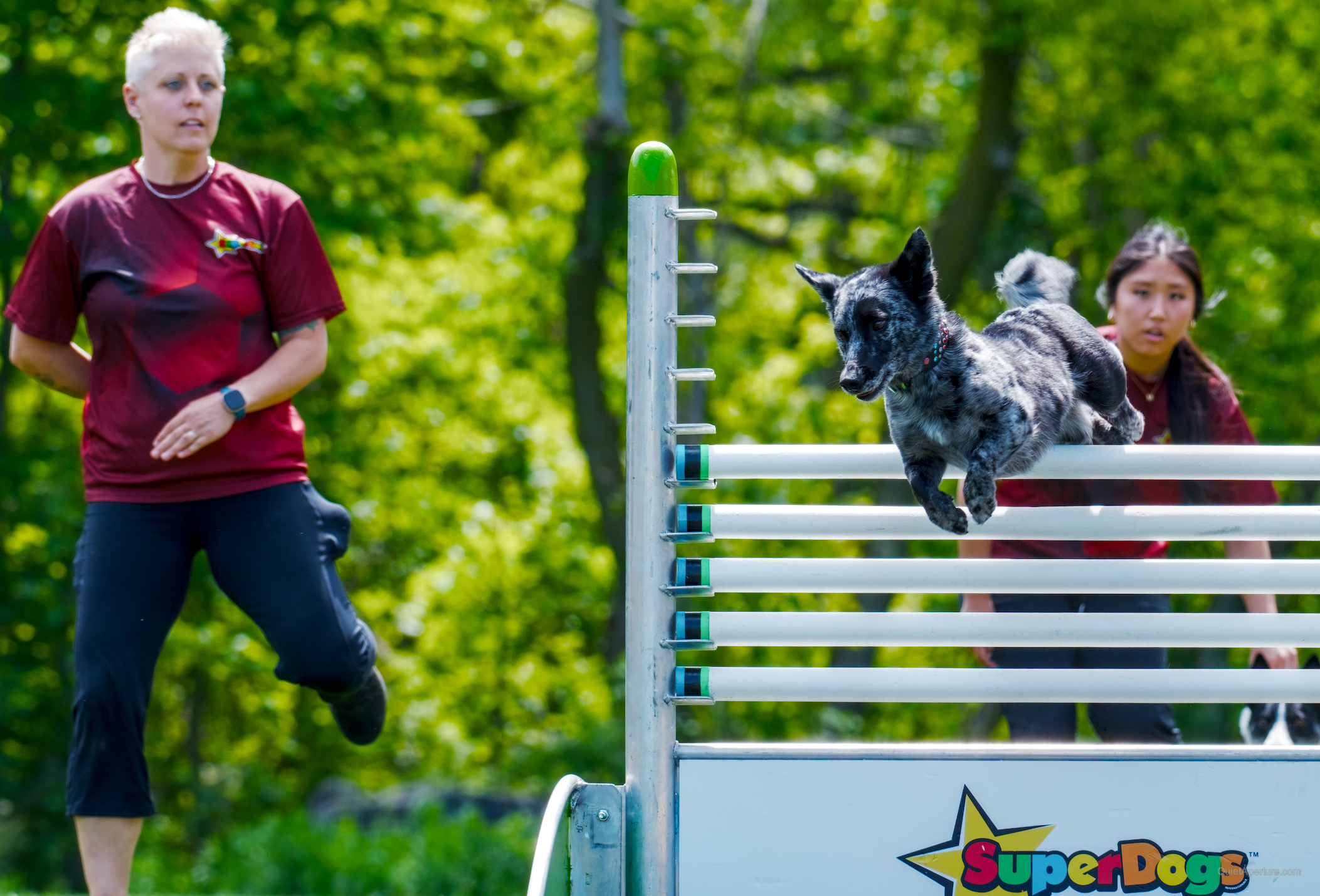 SuperDogs 2026 at the Bread and Honey Festival, frame 03.