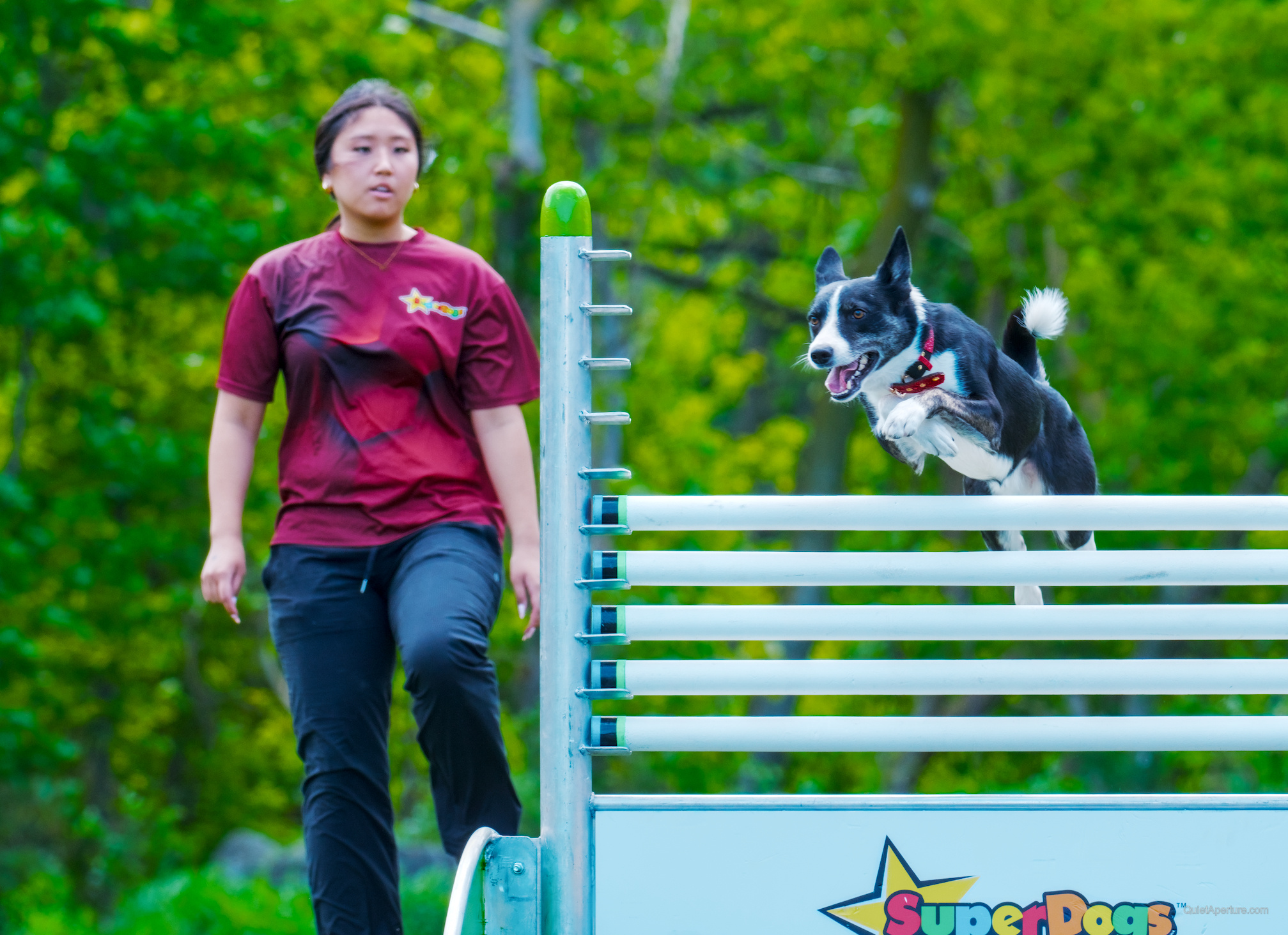 SuperDogs 2026 at the Bread and Honey Festival, frame 04.