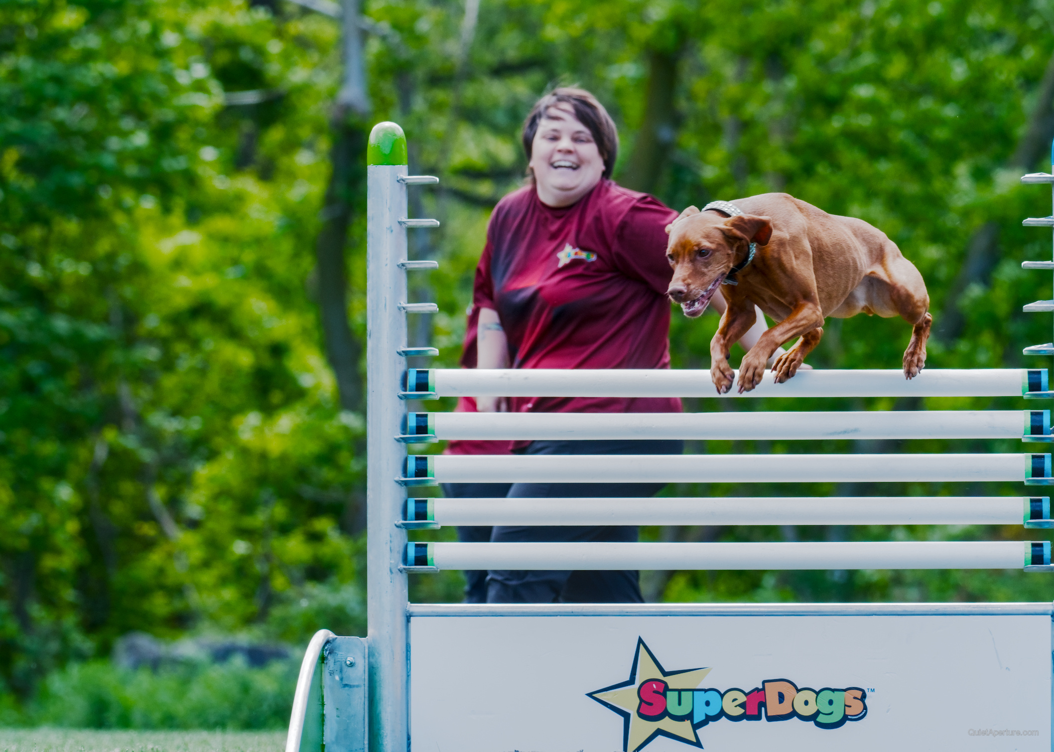 SuperDogs 2026 at the Bread and Honey Festival, frame 05.