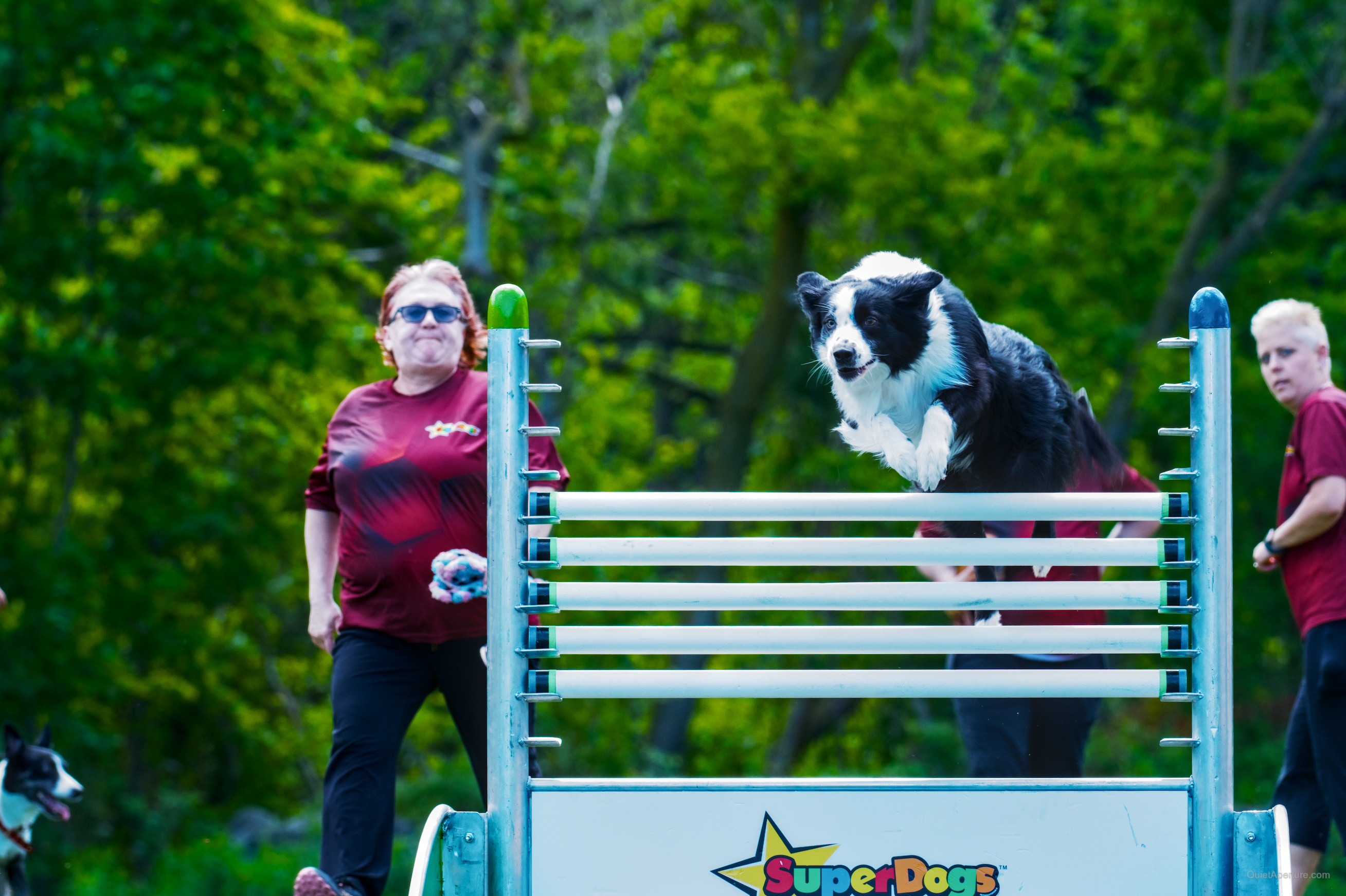 SuperDogs 2026 at the Bread and Honey Festival, frame 06.