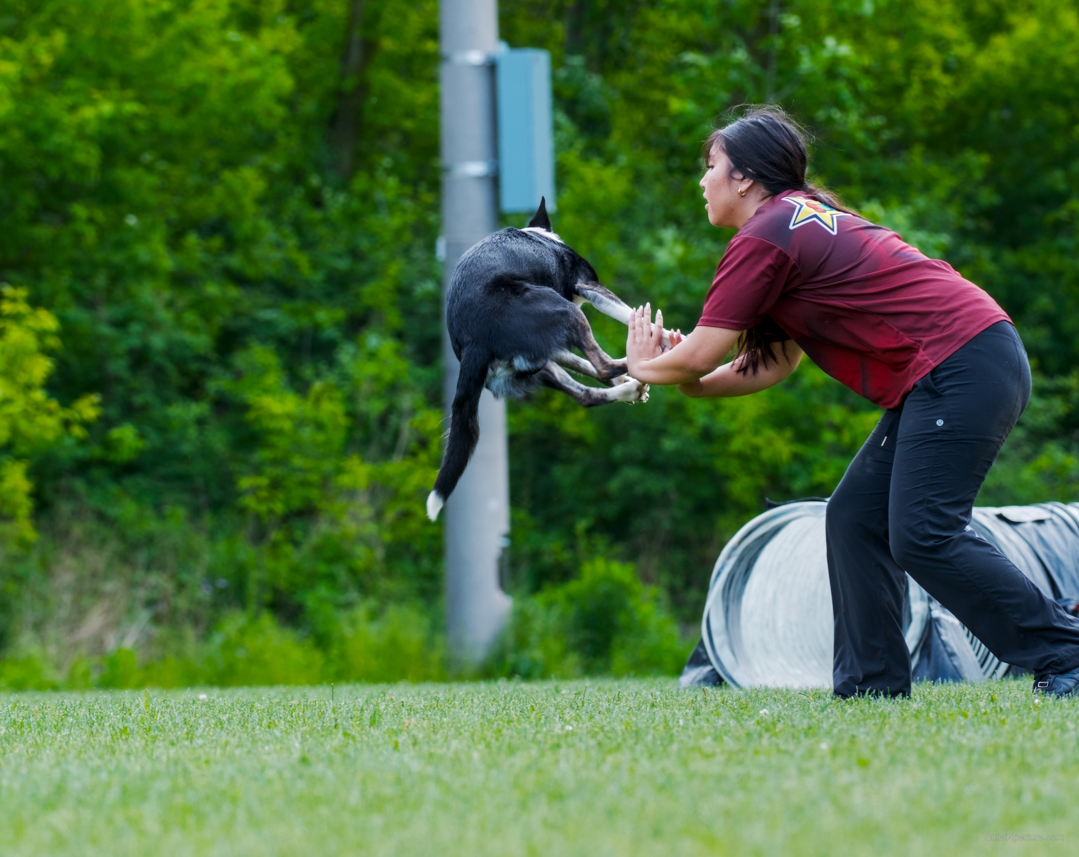SuperDogs 2026 at the Bread and Honey Festival, frame 16.
