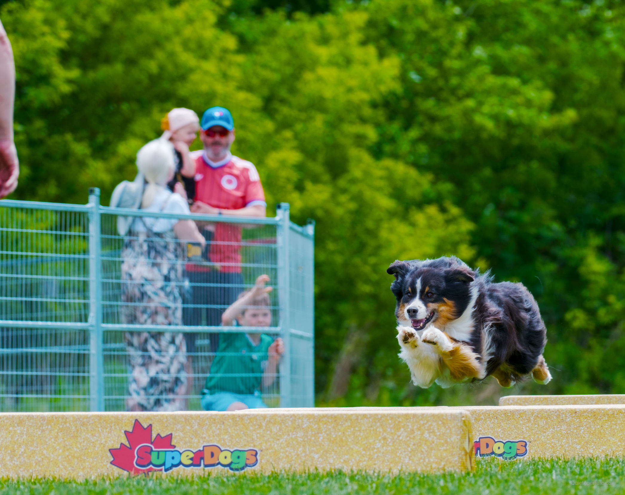 SuperDogs 2026 at the Bread and Honey Festival, frame 24.